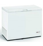 CONGELADOR HORIZONTAL EEZH-3011 /A